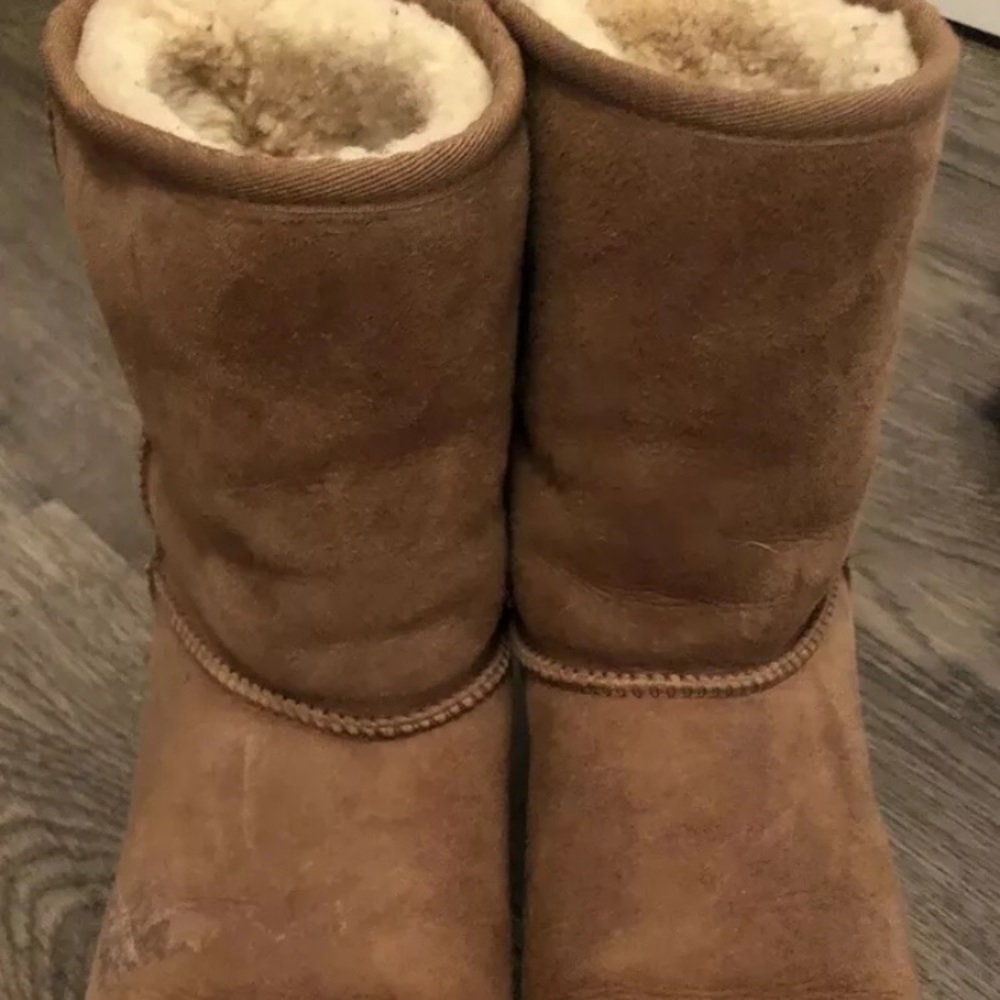 Classic chestnut ugg boots